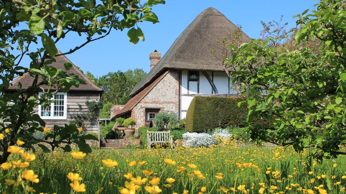 Buttercups in orchard at Alfriston Clergy House